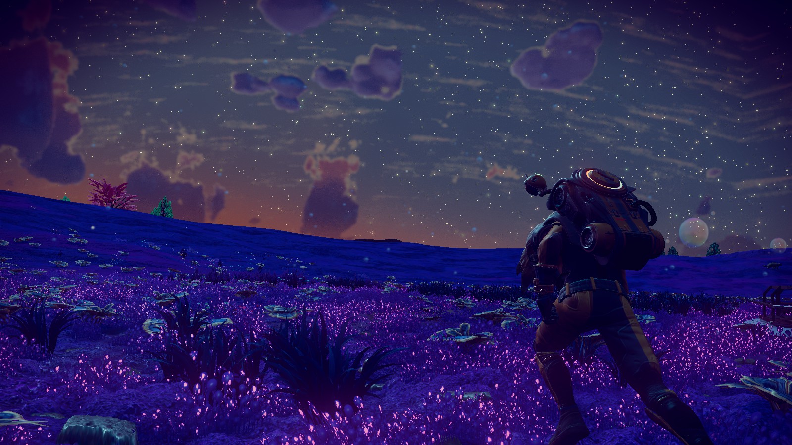 No Man's Sky, Expedition 1, a gorgeous blue landscape with bioluminescent purple flora under a cloud and star filled sky at sunset.